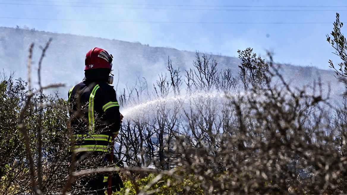 Αρχίζει από σήμερα η αντιπυρική περίοδος - Ποιες δραστηριότητες απαγορεύονται